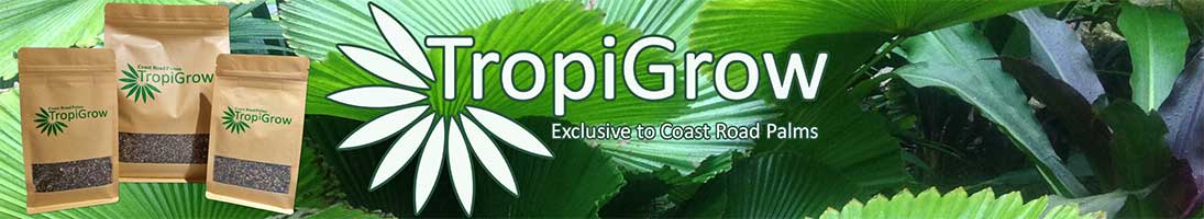 TropiGrow Now Available. A Coast Road Palms Exclusive!